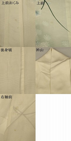 平和屋着物＊夏物 訪問着 絽 枝花文 暈し染め 正絹 逸品 AABB2519jd
