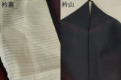 平和屋着物＊夏物 訪問着 紗 刺繍 花菱文 正絹 逸品 AABB2547jd