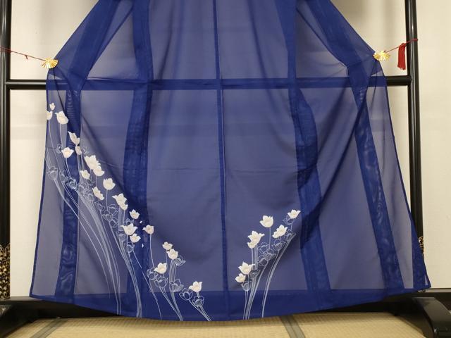 平和屋着物＊夏物 訪問着 絽 枝花文 洗える着物 AABB2562jd