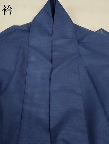 平和屋着物＊夏物 訪問着 絽 舞蝶文 洗える着物 AABB2568jd