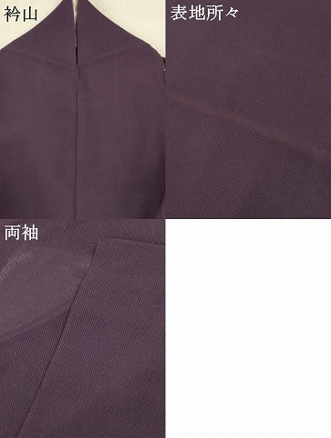 平和屋着物＊夏物　訪問着　絽　立波文　正絹　逸品　AABB2585jd