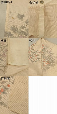 平和屋着物＊夏物 小紋 絽 手描き 草花文 正絹 逸品 AABB2590jd