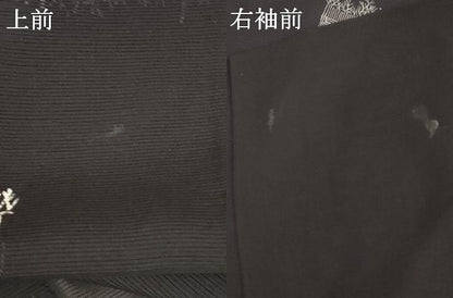 平和屋着物＊夏物 訪問着 絽 竹垣文 正絹 逸品 AABB2597jd