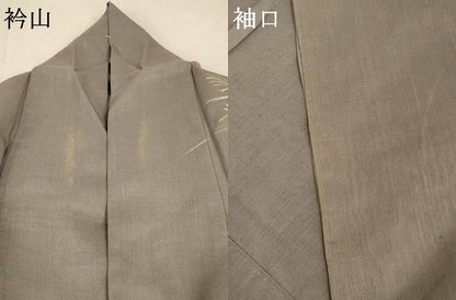 平和屋着物＊夏物 訪問着 絹駒上布 蜻蛉 金銀彩 反端付き 正絹 逸品 AABB2598jd