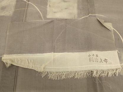 平和屋着物＊夏物 訪問着 絹駒上布 蜻蛉 金銀彩 反端付き 正絹 逸品 AABB2598jd