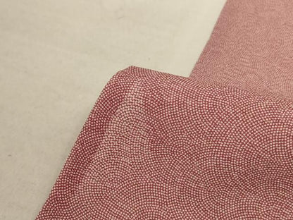 平和屋着物＊夏物 江戸小紋 絽 鮫小紋柄 正絹 逸品 AABB2601jd