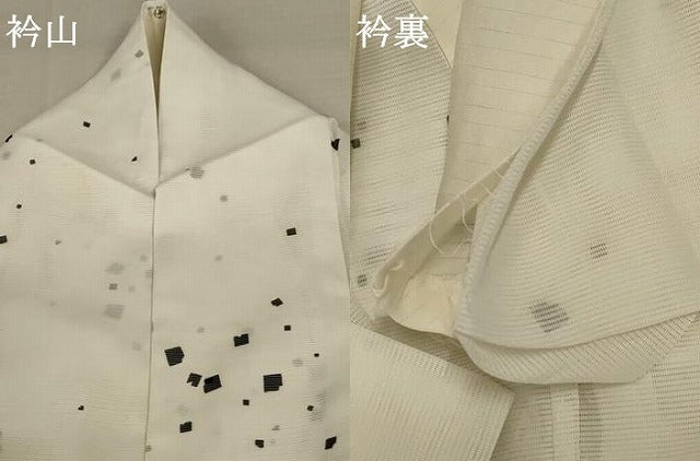 平和屋着物＊夏物 小紋 絽 箔散らし文 洗える着物 AABB2633jd