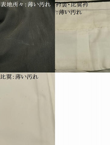 平和屋着物■豪華黒留袖　手描き　風景樹林文　暈し染め　正絹　逸品　AABB2688oa