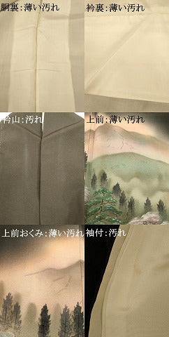 平和屋着物■豪華黒留袖　宝江　手描き　風景文　正絹　逸品　AABB3005fw