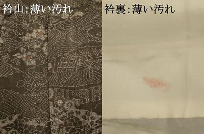 平和屋着物■上質な紬　雲取り風景文　正絹　逸品　AABB3049fw