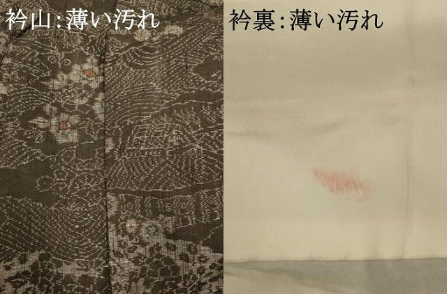 平和屋着物■上質な紬　雲取り風景文　正絹　逸品　AABB3049fw