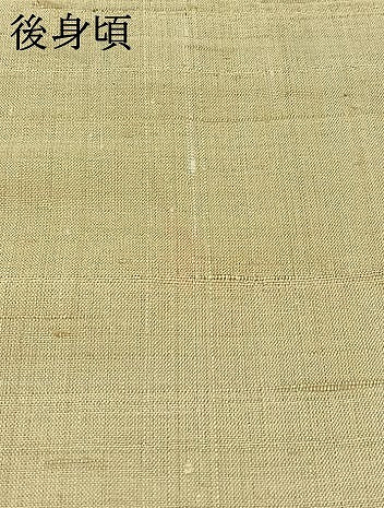 平和屋着物▽上質な紬 単衣 魚文 正絹 逸品 AABB3577jh