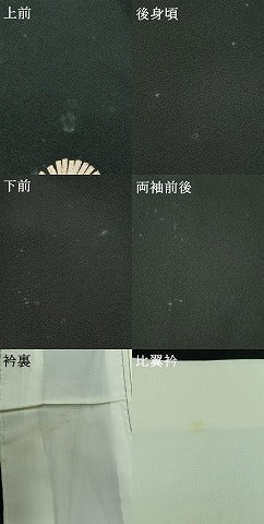 平和屋着物▽豪華黒留袖　単衣　駒刺繍　飛鶴風景松文　金糸　金彩　正絹　逸品　AABB3591jh