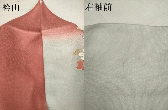 平和屋着物●訪問着　鴛鴦雪輪花文　暈し染め　金彩　正絹　逸品　AABB3855ck
