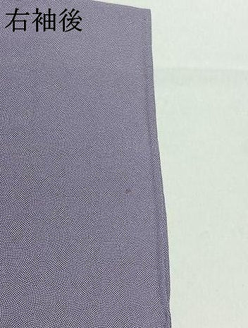 平和屋着物▽江戸小紋　単衣　鮫小紋柄　正絹　逸品　AABB3905jh