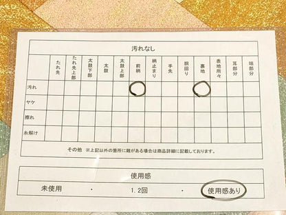 平和屋着物◎太鼓柄袋帯 切嵌 網代文様 金銀糸 正絹 逸品 AABB4081dt