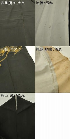 平和屋着物■豪華黒留袖　枝松文　金銀糸　正絹　逸品　AABB4238cs