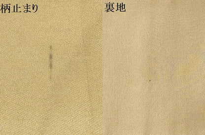 平和屋着物▼六通柄袋帯 花鳥文 金糸 正絹 逸品 AABB4627wj