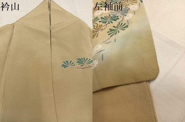 平和屋着物●訪問着 浜松枝花文 暈し染め 正絹 逸品 AABB5150ph