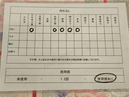 平和屋着物◎六通柄袋帯　唐織　亀甲花文　金銀糸　正絹　逸品　AABB5185ou