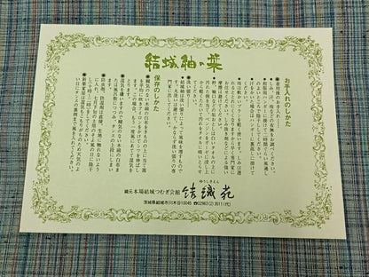 平和屋着物▽本場結城玉紬 単衣 格子 結織苑 証紙付き 正絹 逸品 AABB5209jh