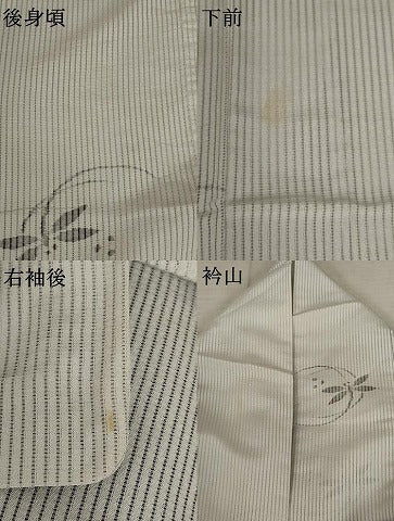平和屋着物＊夏物 小紋 絽芭蕉 蜻蛉 正絹 逸品 AABB5851st