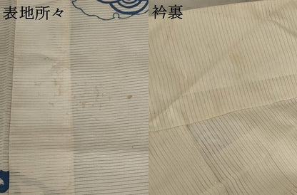 平和屋着物＊夏物 アンティーク 大正ロマン 小紋 絽 雪輪青海波文 正絹 逸品 AABB5870st