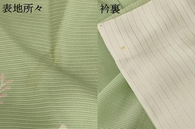 平和屋着物＊夏物 訪問着 絽 草花文 暈し染め 銀彩 正絹 逸品 AABB5872st