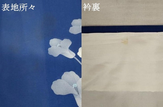 平和屋着物＊夏物 訪問着 絽 草花文 洗える着物 AABB5873st