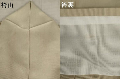 平和屋着物＊夏物 訪問着 絽 舞花文 洗える着物 AABB5883st
