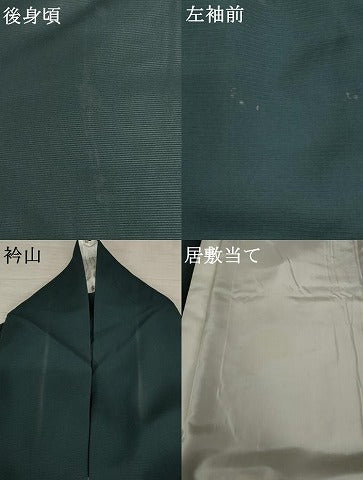 平和屋着物＊夏物 色留訪問着 絽 鳥 正絹 逸品 AABB5919st