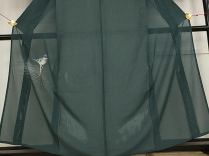 平和屋着物＊夏物 色留訪問着 絽 鳥 正絹 逸品 AABB5919st