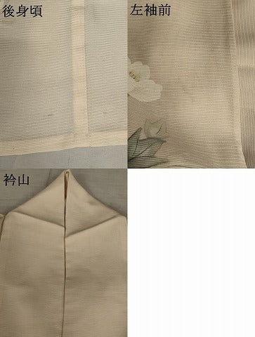 平和屋着物＊夏物 訪問着 絽 手描き 草花文 暈し染め 正絹 逸品 AABB5922st