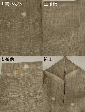平和屋着物＊夏物 紗紬 蛍暈し 正絹 逸品 AABB5925st