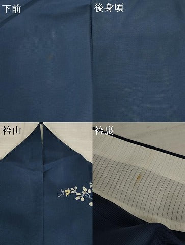 平和屋着物＊夏物 訪問着 絽 草花文 正絹 逸品 AABB5931st