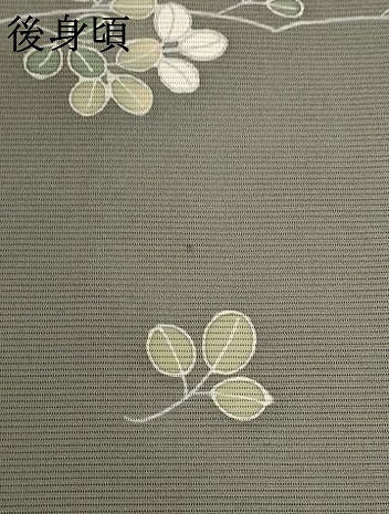 平和屋着物＊夏物 訪問着 絽 枝葉文 正絹 逸品 AABB5947st