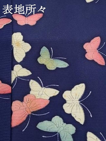 平和屋着物＊夏物 小紋 絽 舞蝶文 正絹 逸品 AABB5952st