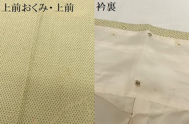 平和屋着物●本塩沢　舞花文　正絹　逸品　AABB6331zg