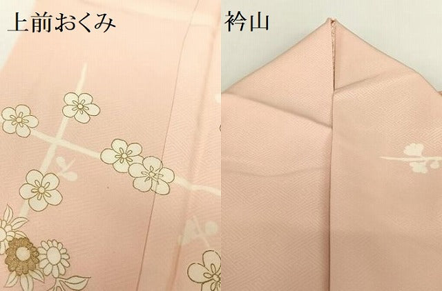 平和屋着物●訪問着 駒刺繍 孔雀枝梅花文 金彩 正絹 逸品 AABB6594zg
