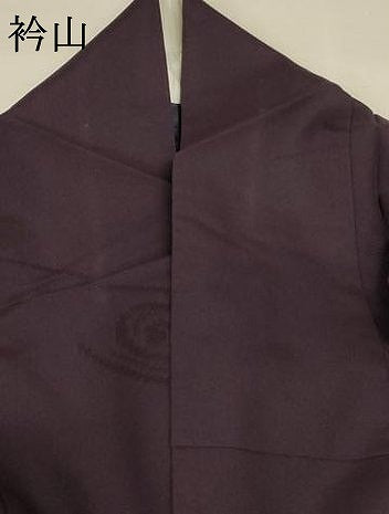 平和屋着物＊夏物 色無地 縦絽 渦紋紗 黒紅色 正絹 逸品 AABB6684jd