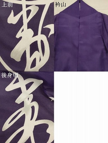 平和屋着物＊夏物 訪問着 絽 文字文 洗える着物 AABB6689jd