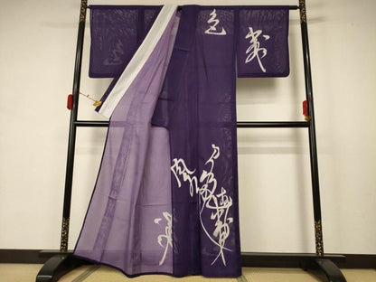 平和屋着物＊夏物 訪問着 絽 文字文 洗える着物 AABB6689jd