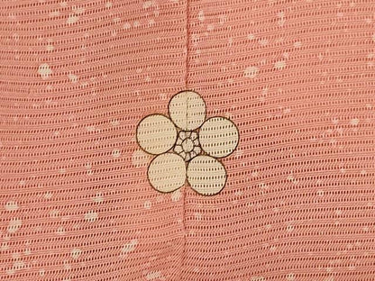 平和屋着物＊夏物 訪問着 絽 枝花文 正絹 逸品 AABB6696jd