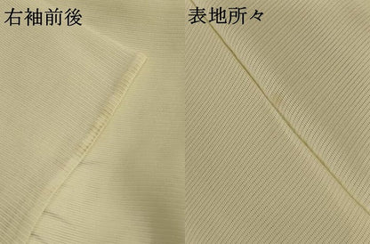 平和屋着物＊夏物 訪問着 絽 手描き 笹竹草花文 正絹 逸品 AABB6705jd