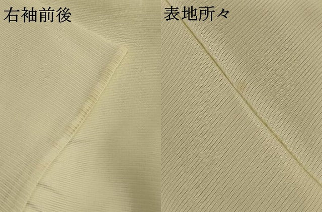 平和屋着物＊夏物 訪問着 絽 手描き 笹竹草花文 正絹 逸品 AABB6705jd