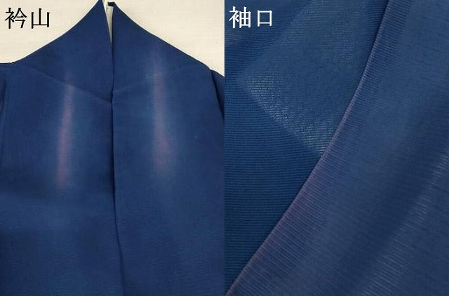 平和屋着物＊夏物 訪問着 絽 舞蝶文 正絹 逸品 AABB6712jd