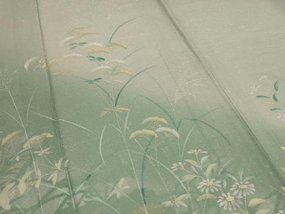 平和屋着物＊夏物 訪問着 絽 手描き 草花文 暈し染め 金銀彩 ロング丈 正絹 逸品 AABB6723jd