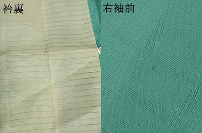 平和屋着物＊夏物 色無地 絽 枝葉紋紗 青緑色 ロング丈 正絹 逸品 AABB6736jd