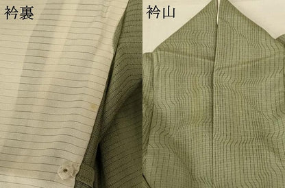 平和屋着物＊夏物 小紋 絽縮緬 変わり縞 正絹 逸品 AABB6753jd