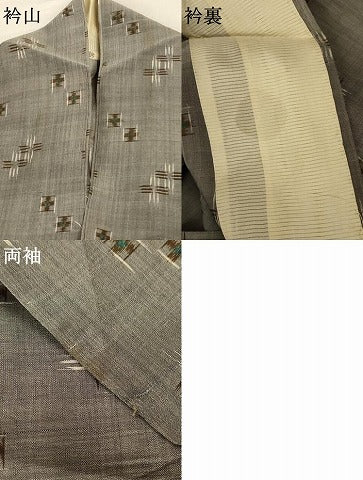 平和屋着物＊夏物 紗紬 絣文様 正絹 逸品 AABB6782jd